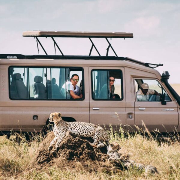 how to book a safari in Tanzania?