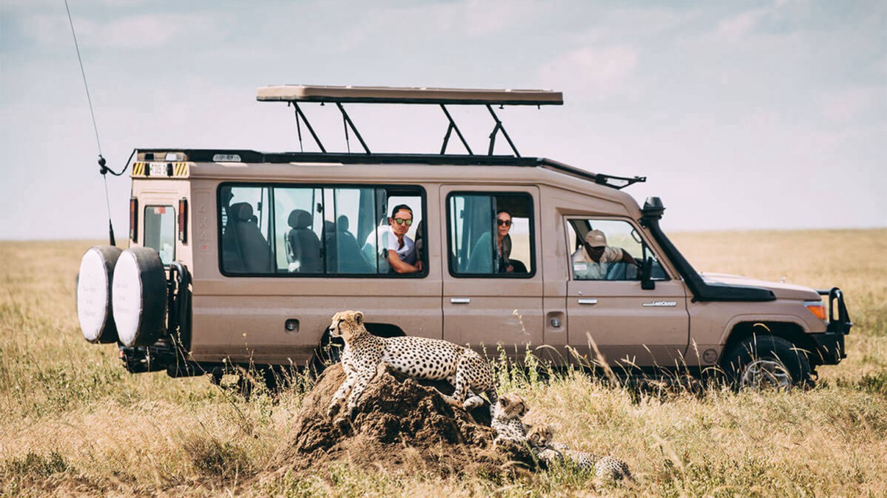 how to book a safari in Tanzania?